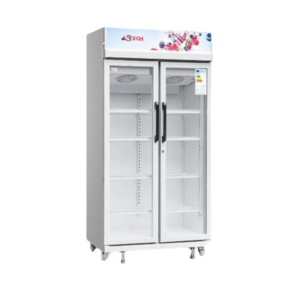 REFRIGERATEUR ASTECH VITRINE 2PORTES FV590V