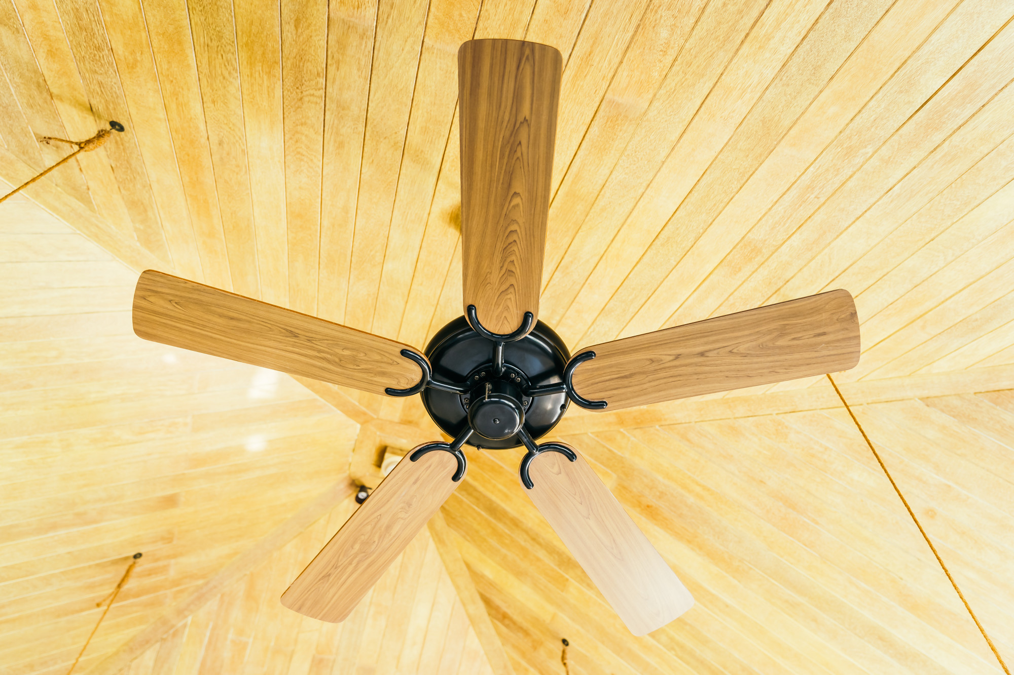 Ventilateur plafond à dakar sénégal