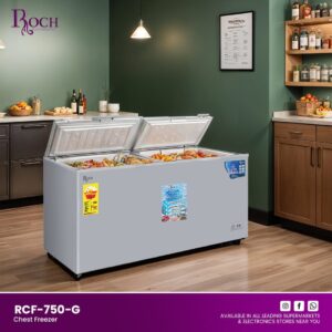 CONGELATEUR ROCH HORIZONTAL 800LITRES RCF750DD Vente achat Dakar Sénégal